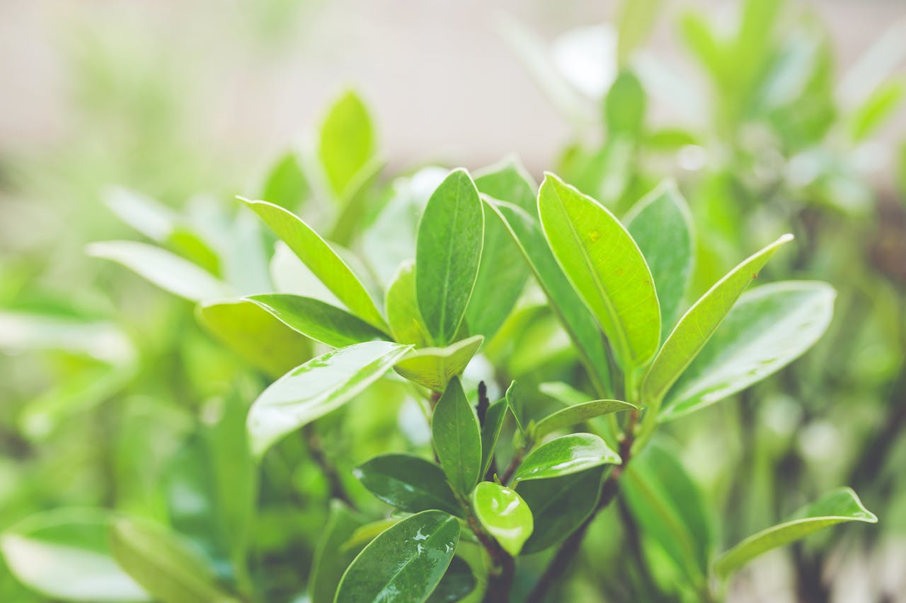 Tóth Ágnes pszichológus levél fotó